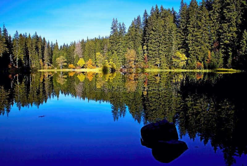 Mirroring on the water level of the Vrbicke tarn in Demanovska valley in Slovakia.