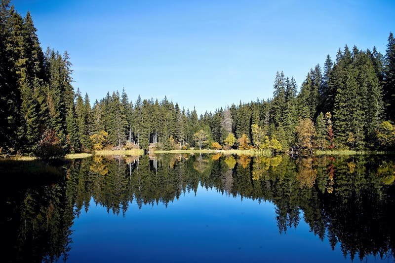 Mirroring on the water level of the Vrbicke tarn in Demanovska valley in Slovakia.