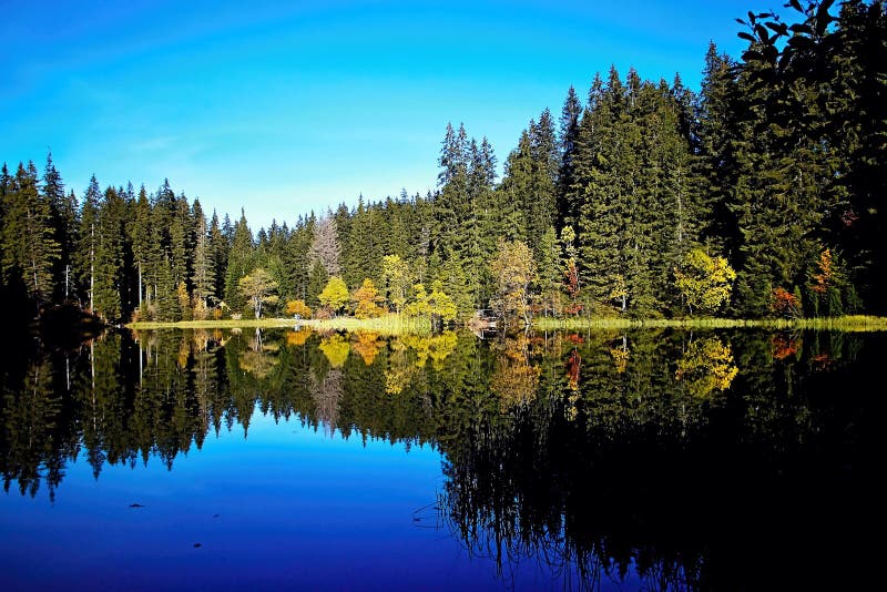 Mirroring on the water level of the Vrbicke tarn in Demanovska valley in Slovakia.