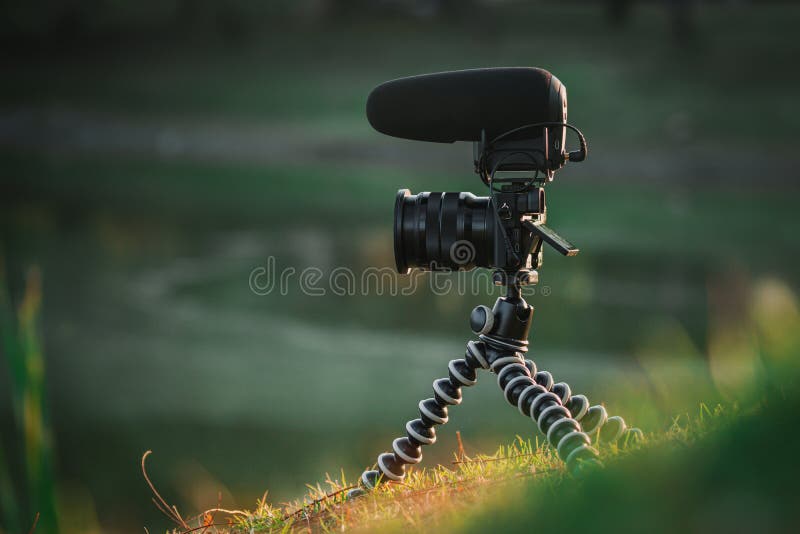 Mirrorless запись цифровой камеры и микрофона в передаче природы стоковая фотография rf