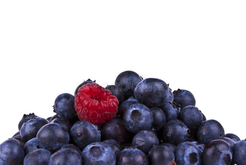 Mirtilli e Rasberry isolati con PA di residuo della potatura meccanica fotografia stock Mirtilli e Rasberry isolati con PA di residuo della potatura meccanica fotografia stock