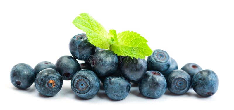 Mirtillo fresco con le foglie verdi della menta immagine stock