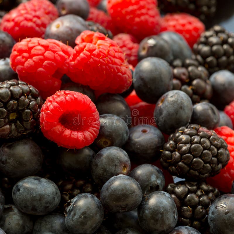 Mirtillo, lampone e mora organici succosi freschi maturi, fondo dell'alimento di estate fotografie stock libere da diritti Mirtillo, lampone e mora organici succosi freschi maturi, fondo dell'alimento di estate fotografie stock libere da diritti