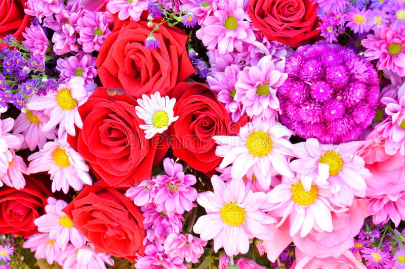 Mischblumenkranz stockbild Mischblumenkranz stockbild