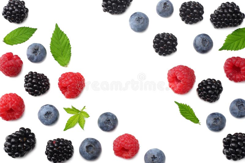 Mischung von Blaubeeren, von Brombeeren, von Himbeeren und von Grünblättern lokalisiert auf weißem Hintergrund Draufsicht mit Kop stockbilder Mischung von Blaubeeren, von Brombeeren, von Himbeeren und von Grünblättern lokalisiert auf weißem Hintergrund Draufsicht mit Kop stockbilder