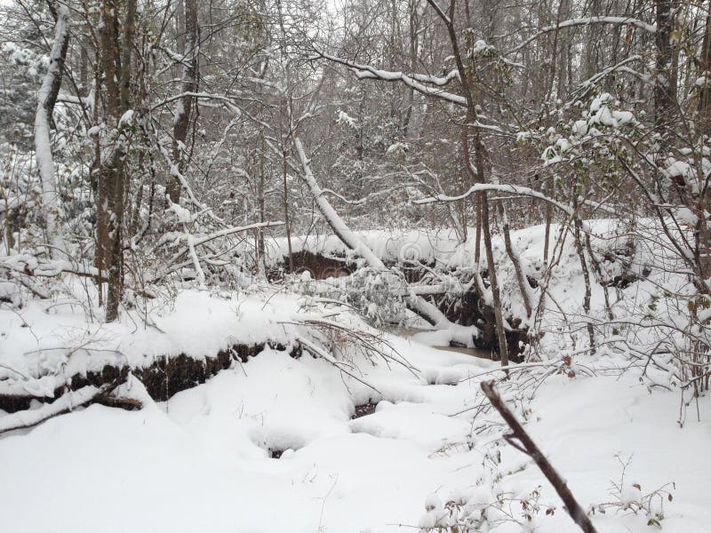 Winter In Missouri On The Lake With Boat Slip Stock Photo Image of