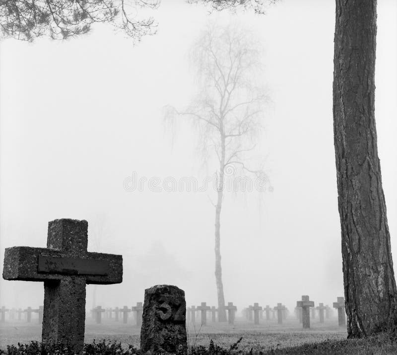 Mist Cemetery Graveyard Gravestone Grim Stock Image Image of death