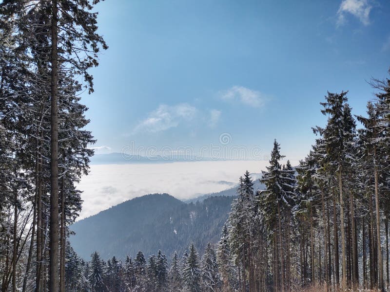 Mist inversion in the woods and mountains during autumn and winter.