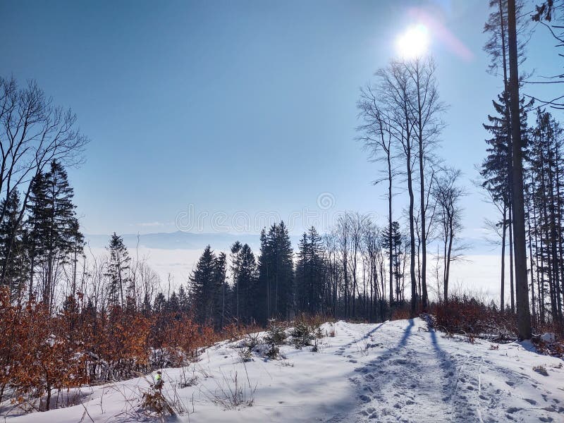 Hmlová inverzia v lesoch a horách počas jesene a zimy.