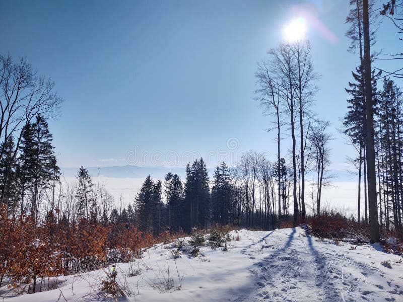 Mist inversion in the woods and mountains during autumn and winter.