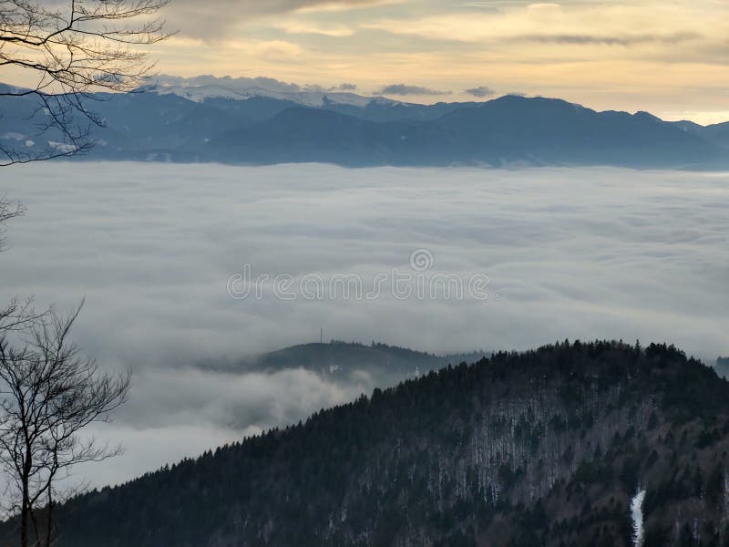 Mist inversion in the woods and mountains during autumn and winter.