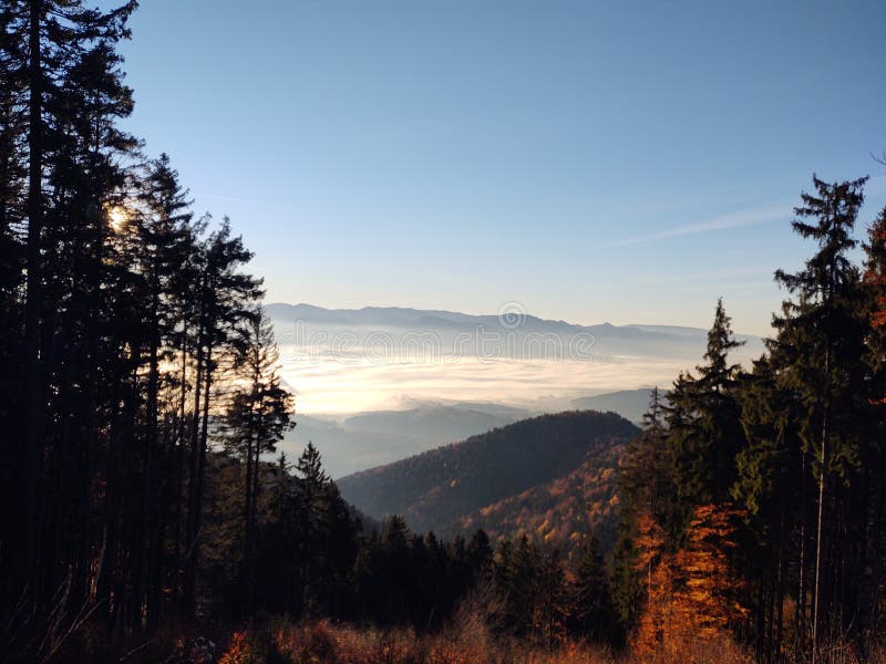 Hmlová inverzia v lesoch a horách počas jesene a zimy.