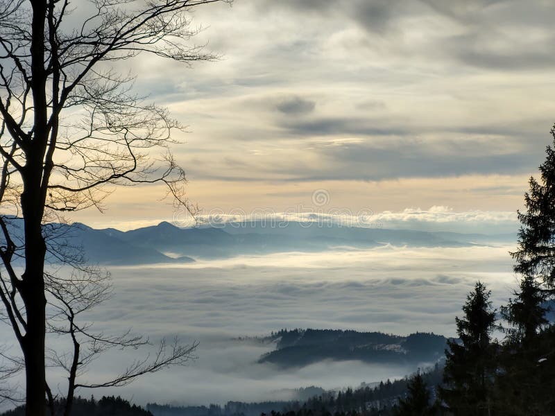 Mist inversion in the woods and mountains during autumn and winter.