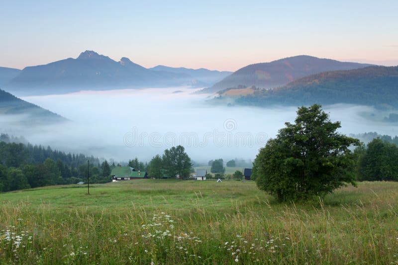 Mist in mountain