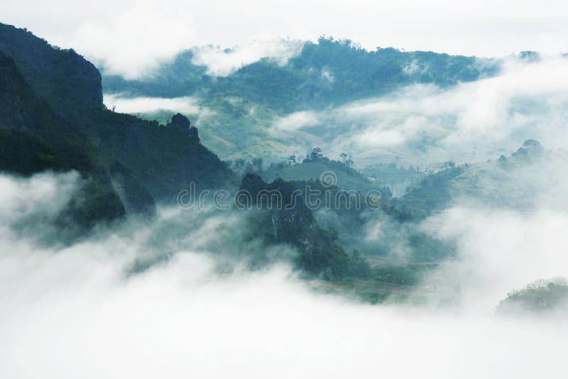 Mist and mountain