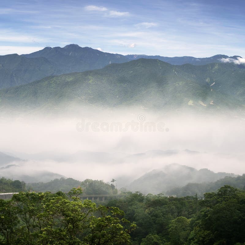 Here ard white mist and green trees of mountain. Here ard white mist and green trees of mountain.