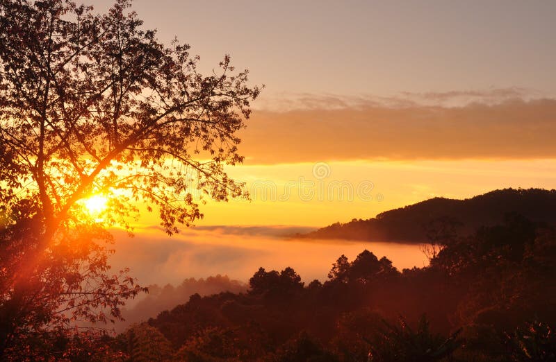 Mist- och sollöneförhöjning arkivbild Mist- och sollöneförhöjning arkivbild
