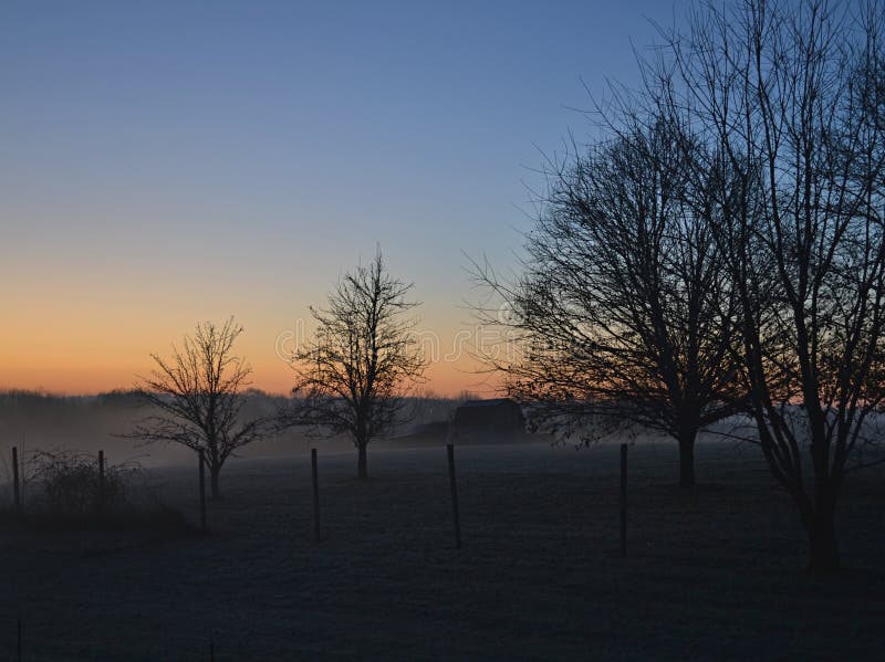 Mistige de winterochtend en naakte bomen stock foto Mistige de winterochtend en naakte bomen stock foto