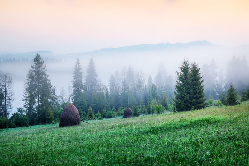 Mistige ochtendmening in de bergenvallei Schitterende de zomerzonsopgang in de Karpatische bergen, Pylylets-dorpsplaats, Transc royalty-vrije stock fotografie Mistige ochtendmening in de bergenvallei Schitterende de zomerzonsopgang in de Karpatische bergen, Pylylets-dorpsplaats, Transc royalty-vrije stock fotografie