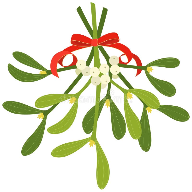  mistletoe ilustração do vetor