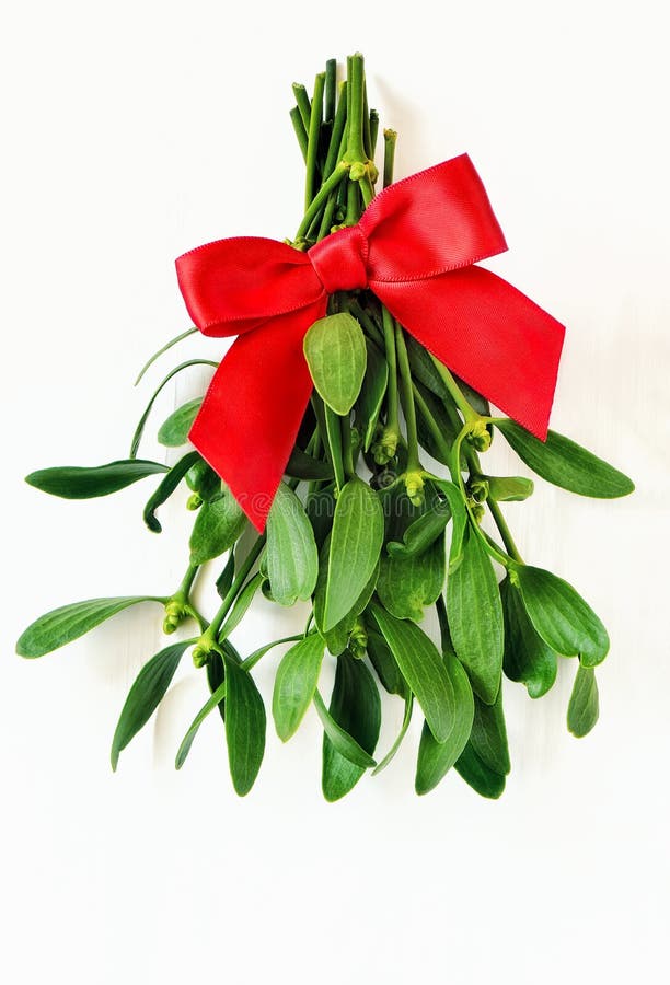 Mistletoe bunch