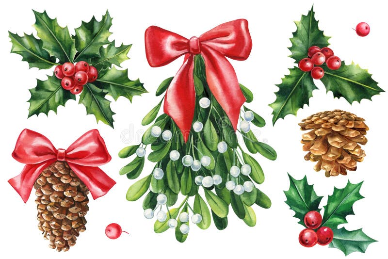 Mistletoe, holly branches, pine cones isolated on white background. Hand drawn watercolor set.