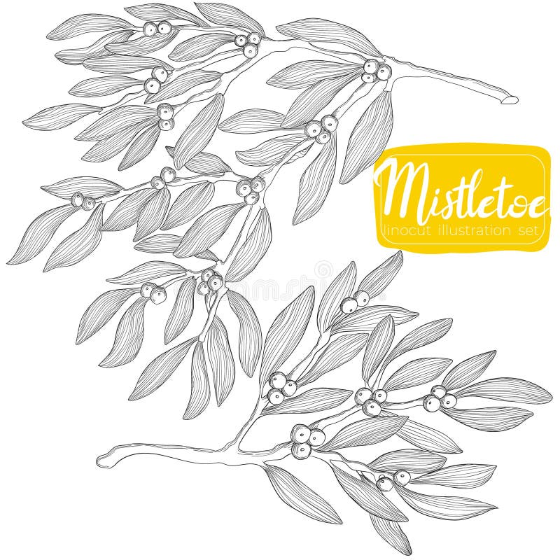 Hand draw linocut mistletoe collection in outline style