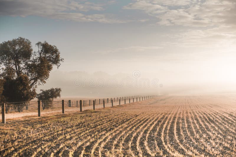 Misty Australian Landscape at Sunrise royalty free stock image