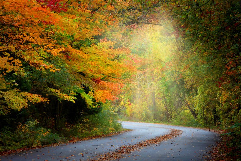 Misty autumn road royalty free stock photos