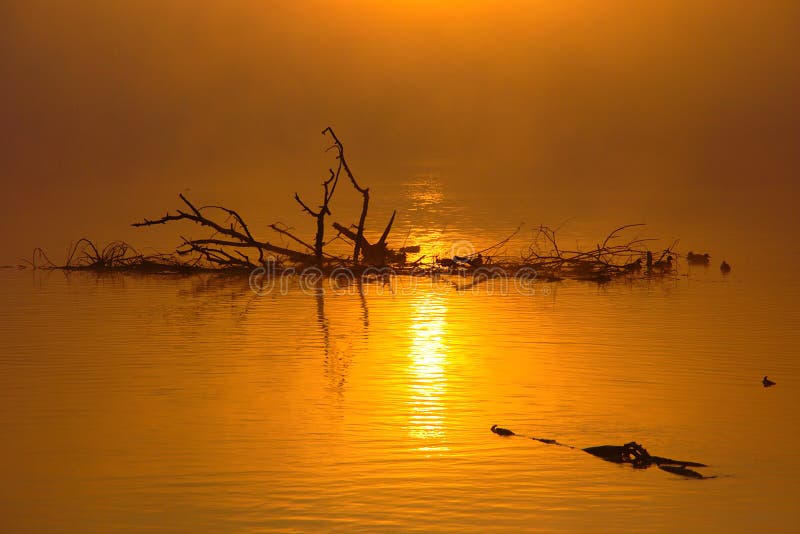 Misty Autumn Landscape stock photo. Image of misty, lake - 45208396