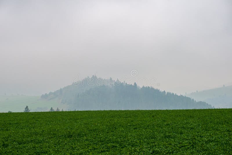 Fields and Forests Covered in Snow in Winter Frost Stock Photo Image
