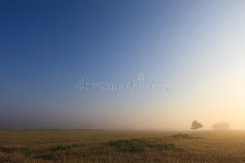 Misty dawn early morning nature grassland landscape