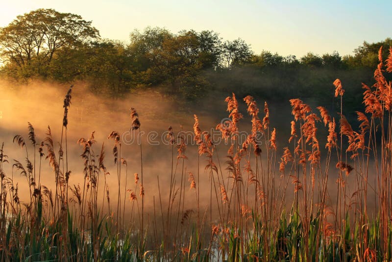 Misty dawn over Lake royalty free stock photos