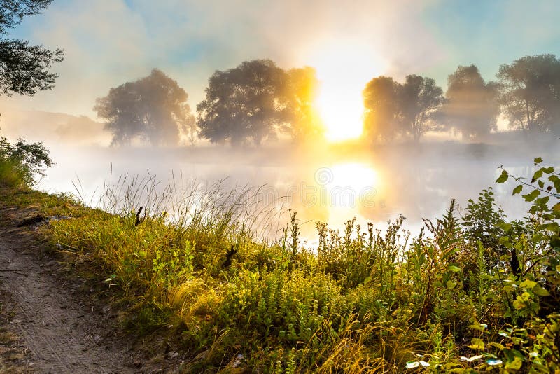 Misty dawn and silhouettes of the trees by a river stock photography
