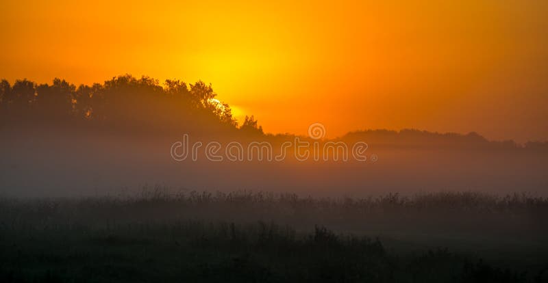 Misty foggy sunrise in summer