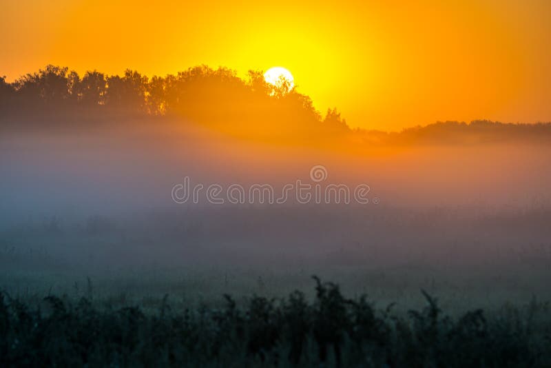 Misty foggy sunrise in summer