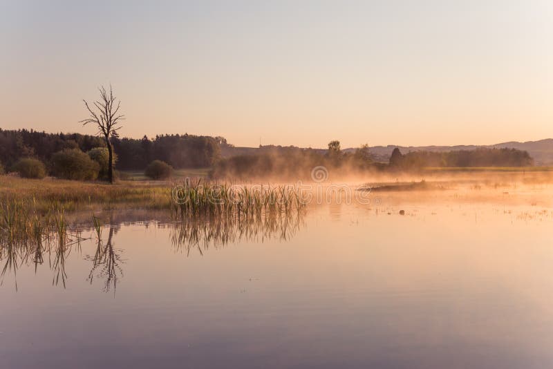 Misty Golden Sunrise Reflecting au-dessus de lac au printemps photo libre de droits Misty Golden Sunrise Reflecting au-dessus de lac au printemps photo libre de droits