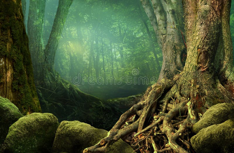 Landscape with fantasy forest, old trees, weird roots and mossy rocks