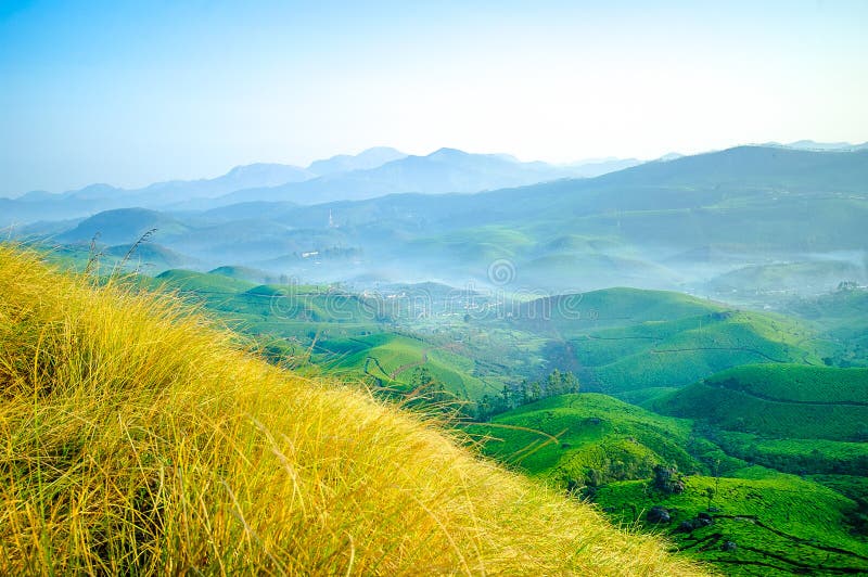 Misty Green Hills, Munnar stock image. Image of kerala 66281431