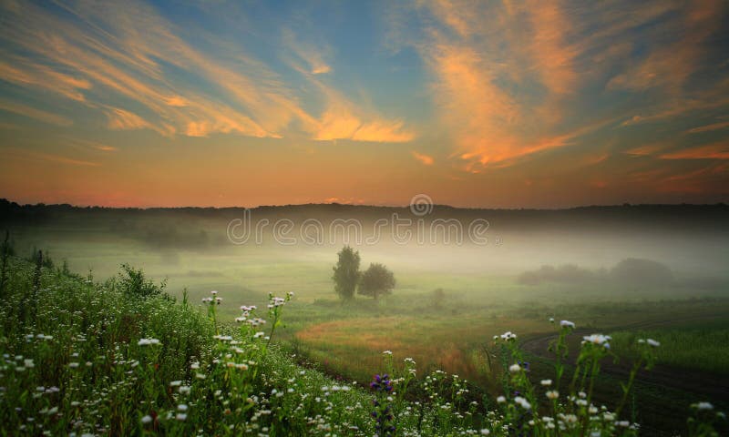 Misty landscape