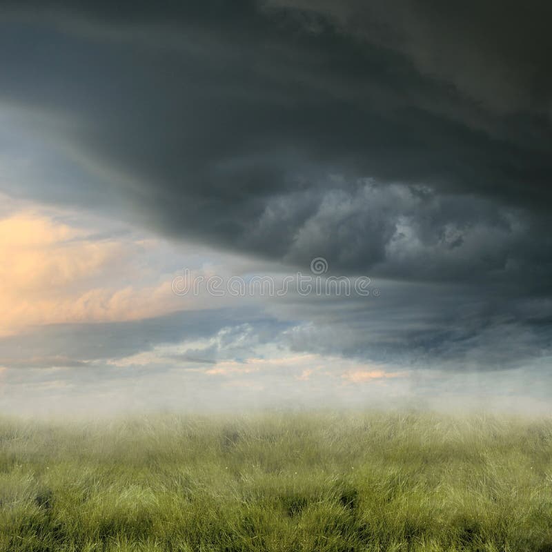 Misty landscape