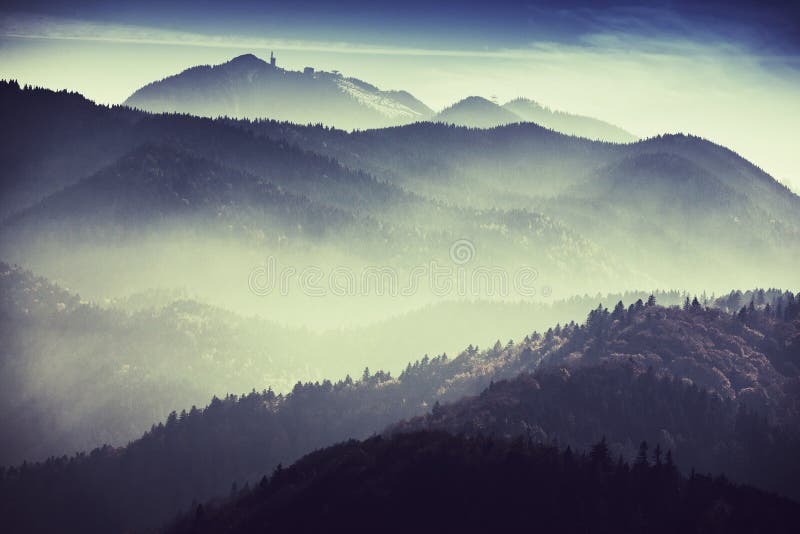 Vista sulla valle della foresta, con le colline in nebbia mista insieme in un nebbioso paesaggio.