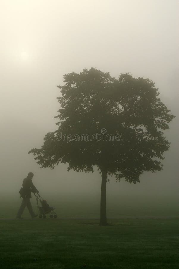 Misty morning