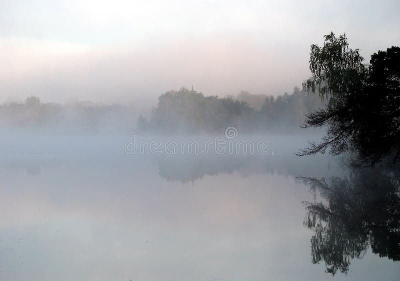 Misty morning 2 royalty free stock photography