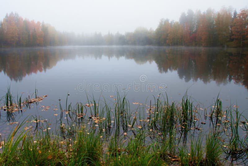 Misty morning on lake stock image