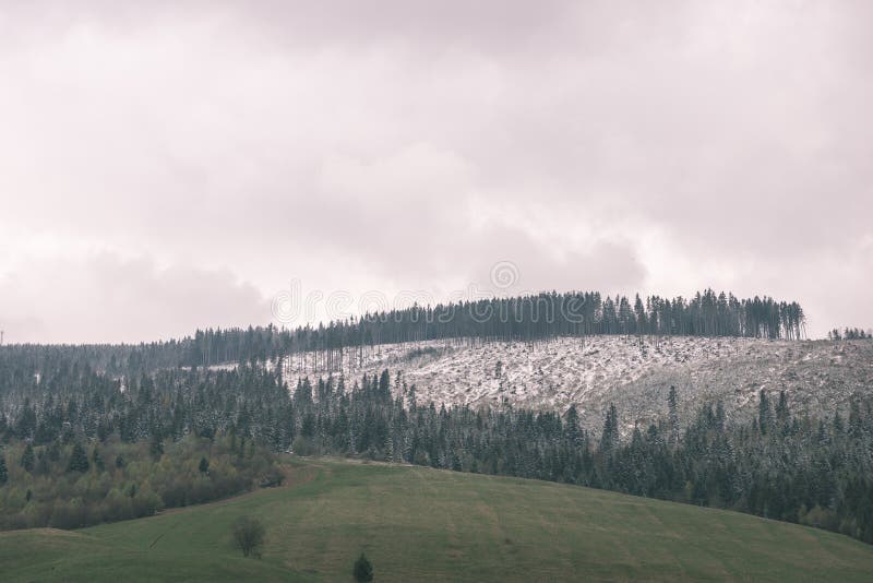 Misty morning mountain view - vintage film look