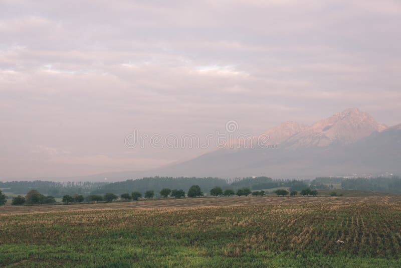 Misty morning mountain view - vintage film look