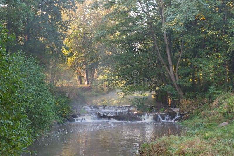 Misty morning on the river flowing through the forest.