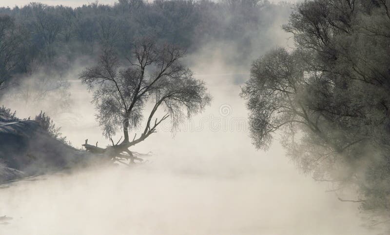 Misty morning on the river Zai