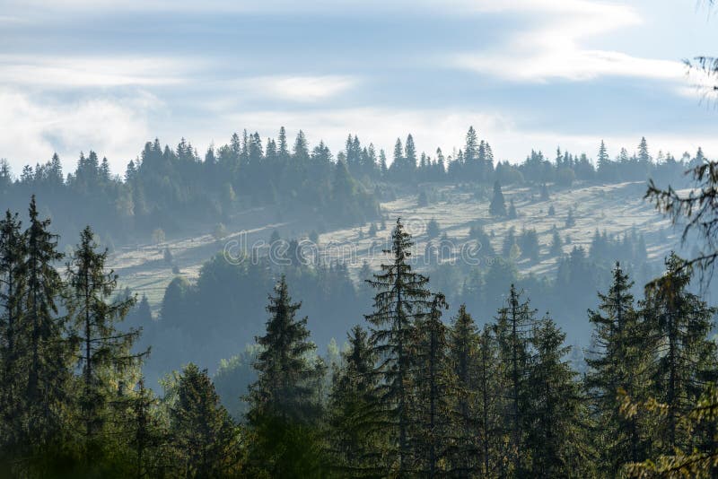 Misty morning view in wet mountain area in slovakian tatra. autumn colored forests